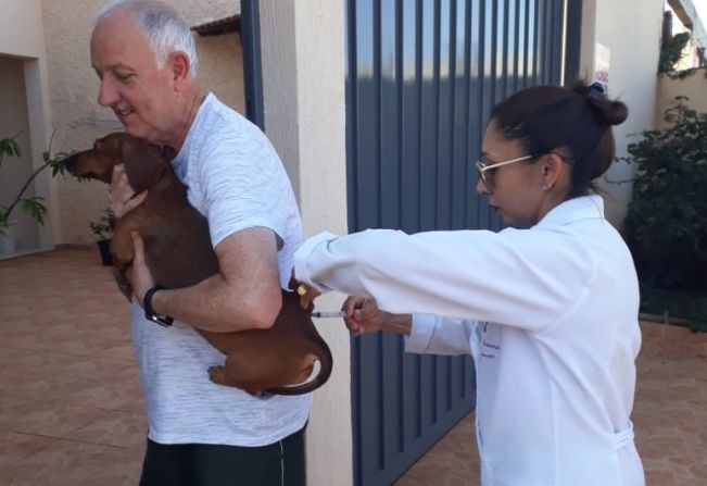 Campanha de Vacinação contra a Raiva imuniza mais de 4,8 mil animais