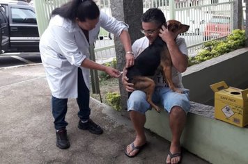 Campanha ultrapassa marca de 3 mil animais vacinados em Águas de Lindoia