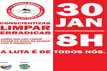 Águas de Lindóia realizará mutirão contra o mosquito Aedes aegypti.