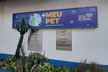 Vacinação contra raiva: Proteção para os nossos pets!