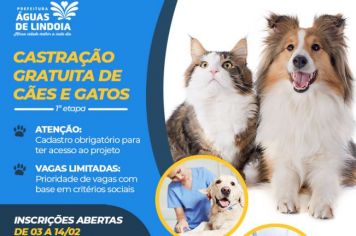 Prefeitura realizará castração de animais em março