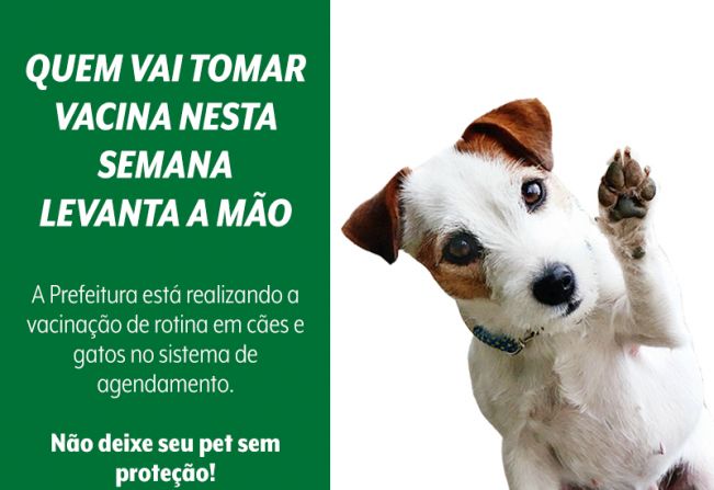 Secretaria de Saúde prossegue com vacinação de rotina contra a raiva em cães e gatos